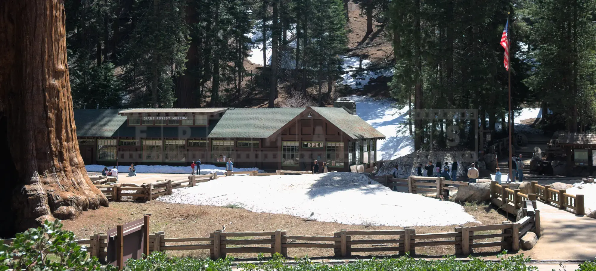 Giant Forest Museum, Sequoia National Park in Sierra Nevada Mountains