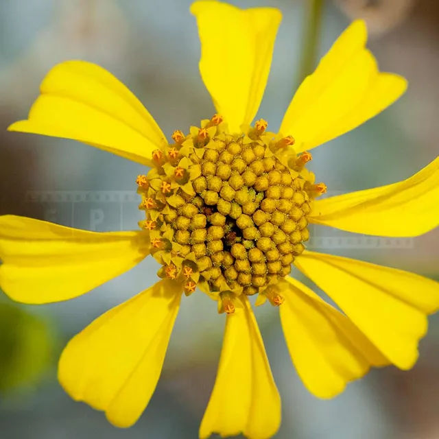 FPImages scenic photo galleries