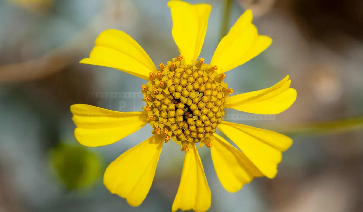 FPImages scenic photo galleries