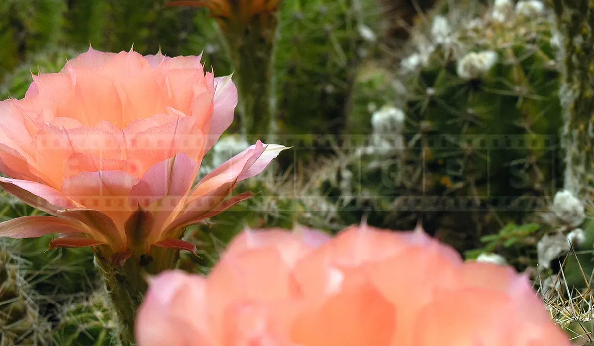 FPImages scenic photo galleries