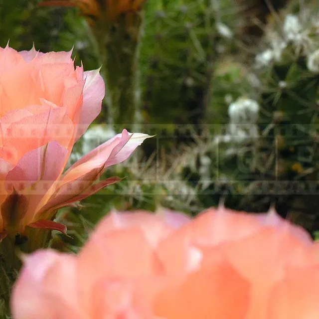 FPImages scenic photo galleries