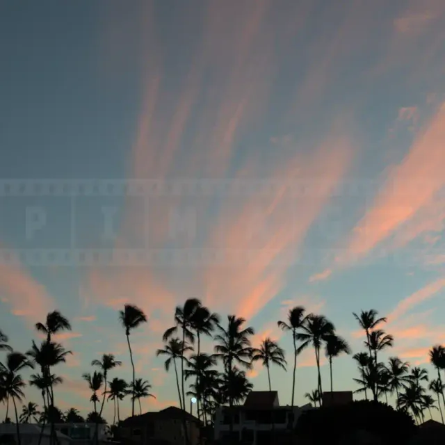 Beautiful clouds and palm trees at the beach