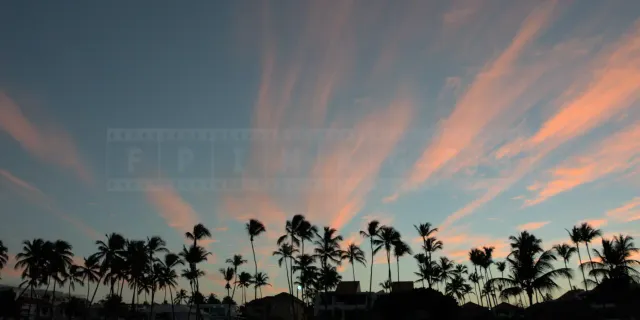 Beautiful clouds and palm trees at the beach