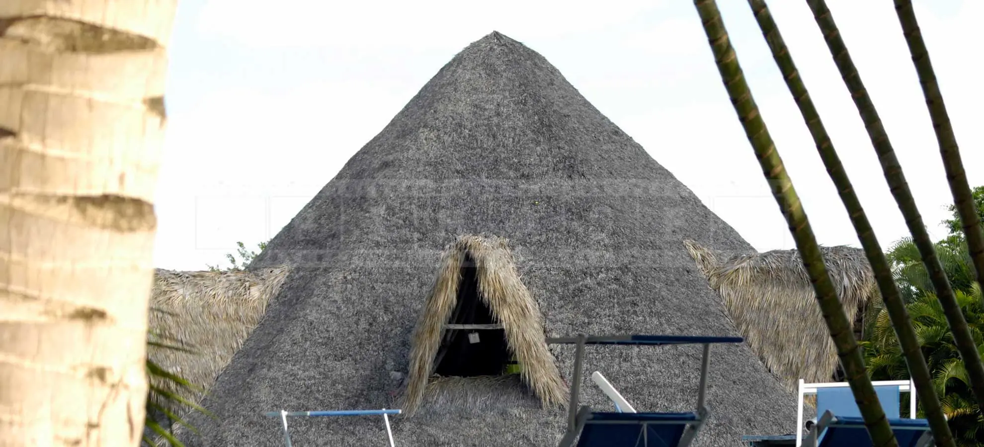 thatched palapa building