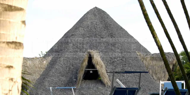 thatched palapa building