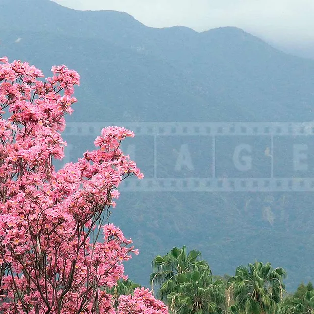 FPImages scenic photo galleries