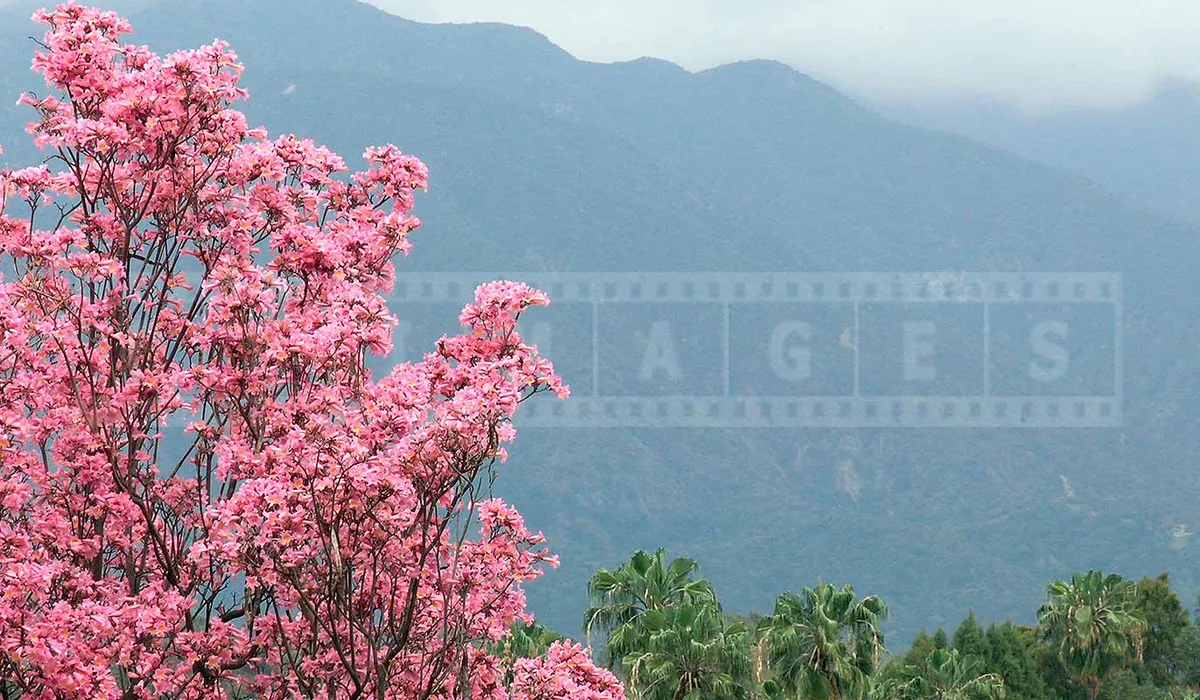 FPImages scenic photo galleries