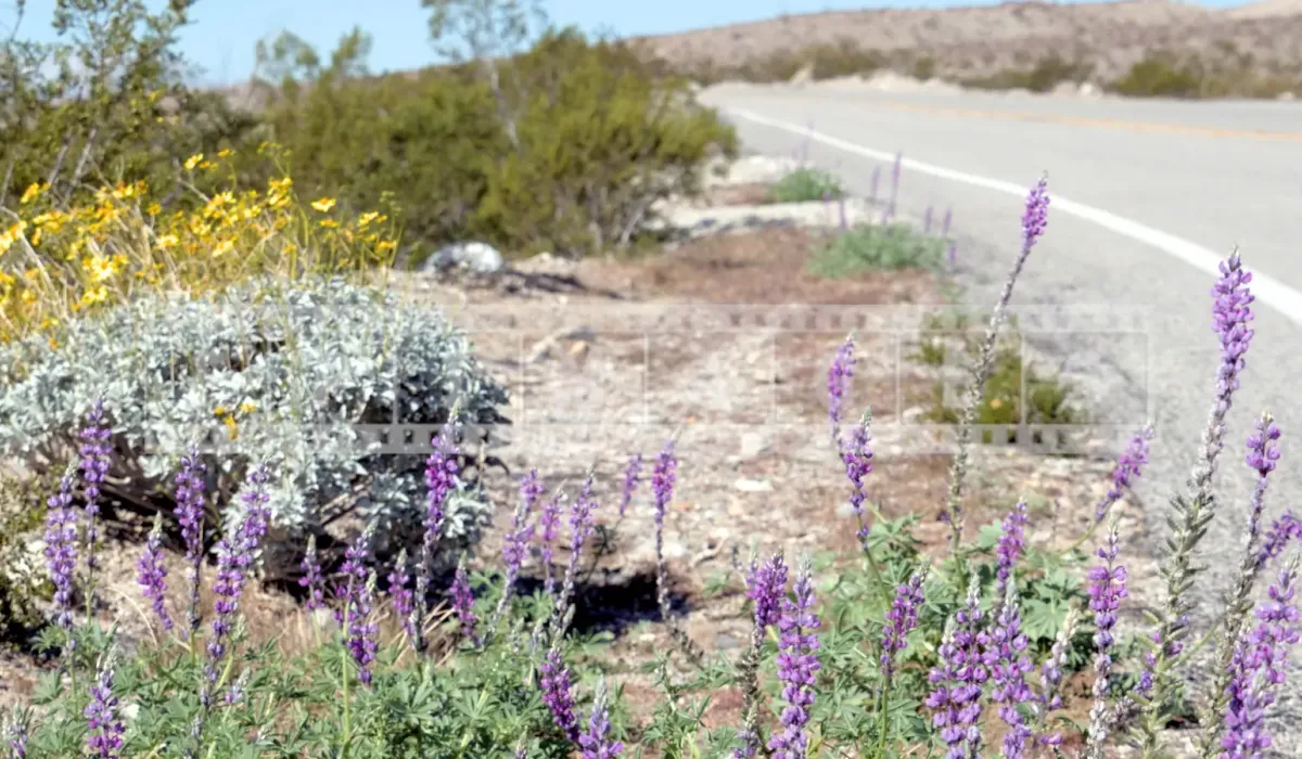 FPImages scenic photo galleries