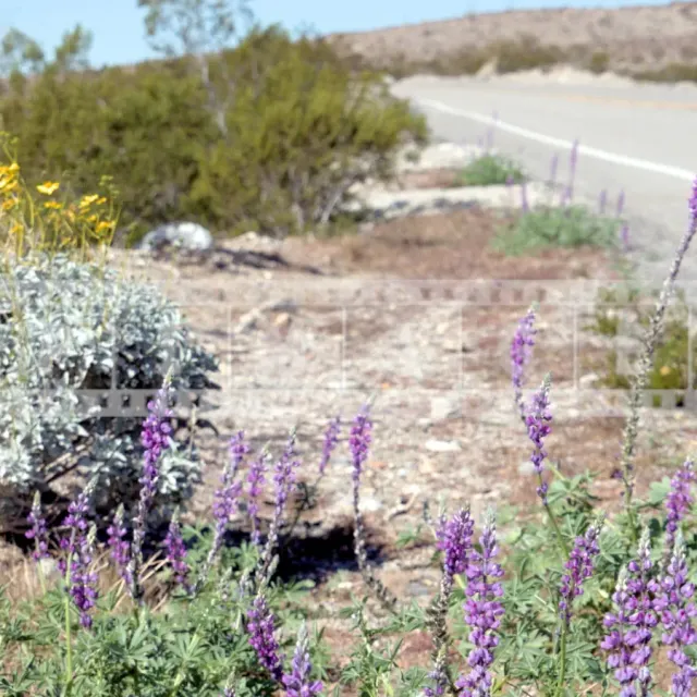 FPImages scenic photo galleries