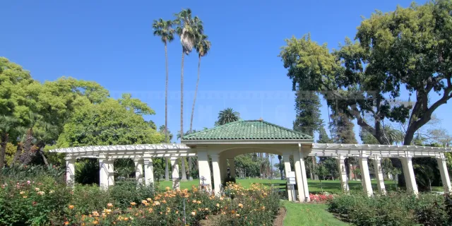 Amazing rose garden at Wrigley house in Pasadena