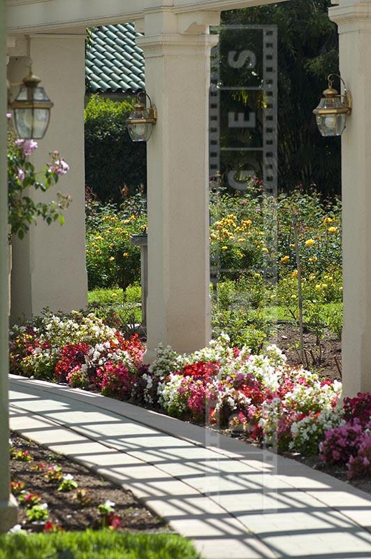 Flowers blooming at the gardens