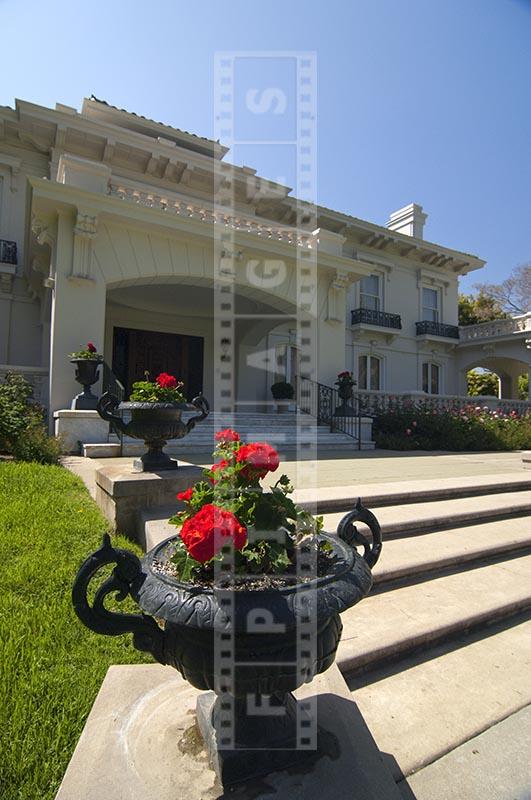 Red flowers in large flower pots