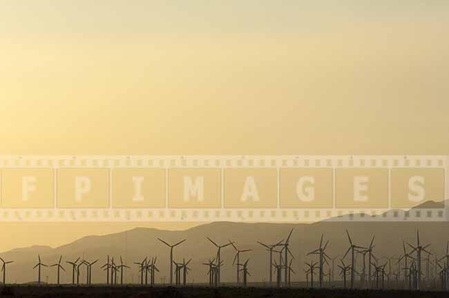 Large Industrial Wind Farm and Golden California sunset 