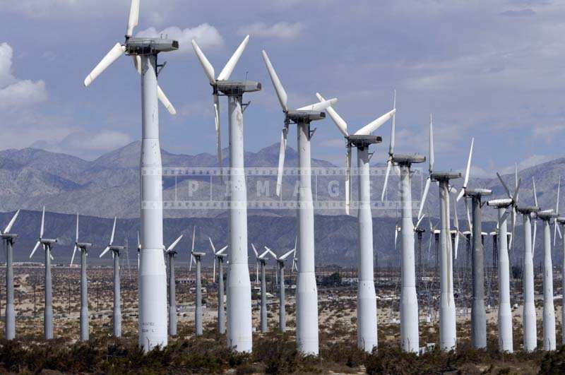 Wind Turbines rows