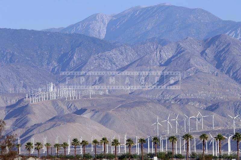 Wind Farm in California generates green energy