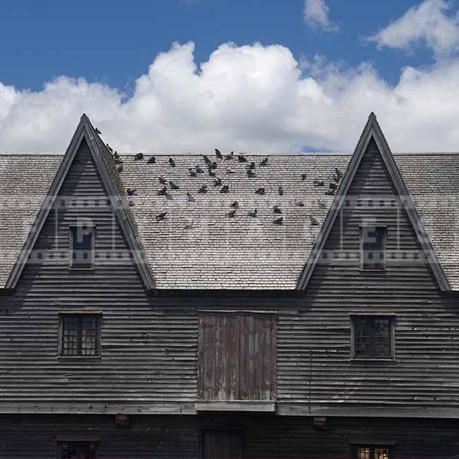 Cooper factory old wooden building, pigeons on the roof