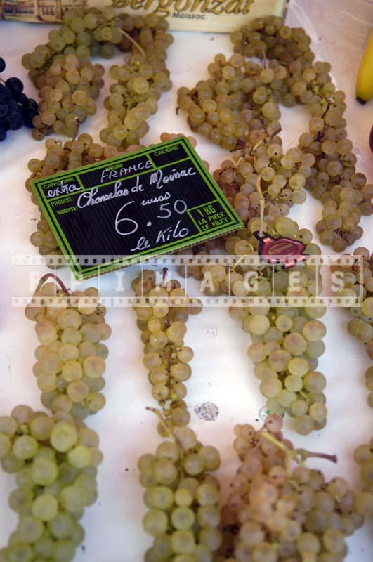 A.O.C. grapes - chasselas de Moissac - South West of France