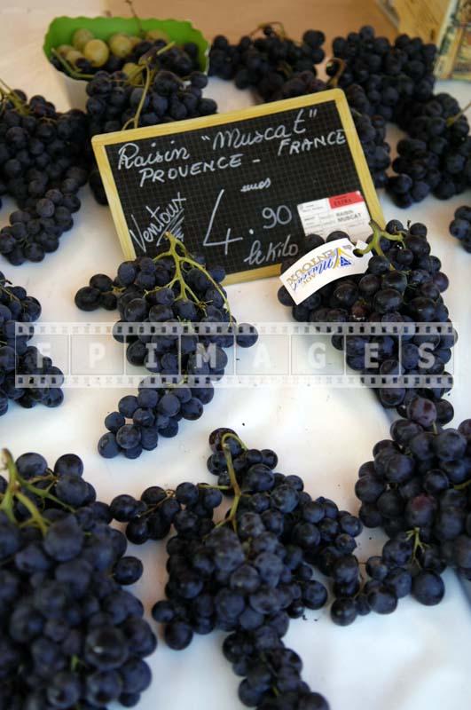 Muscat grapes clusters - Provence, France