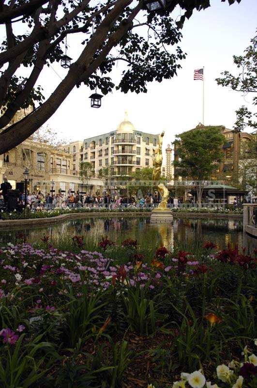 Vibrant Flowers and Greenery near the Americana at Brand Glendale