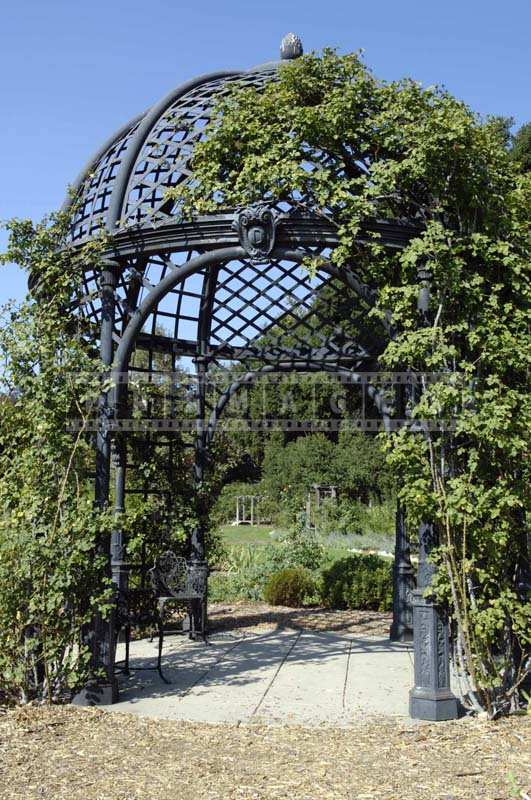 The Beautiful Cast Iron Gazebo Dome of the Structure Partially Covered in Vines