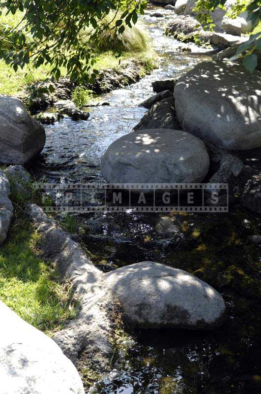 A Gentle Stream Shaded by the Trees