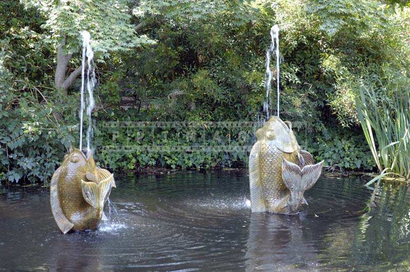 Fish-shaped water fountains