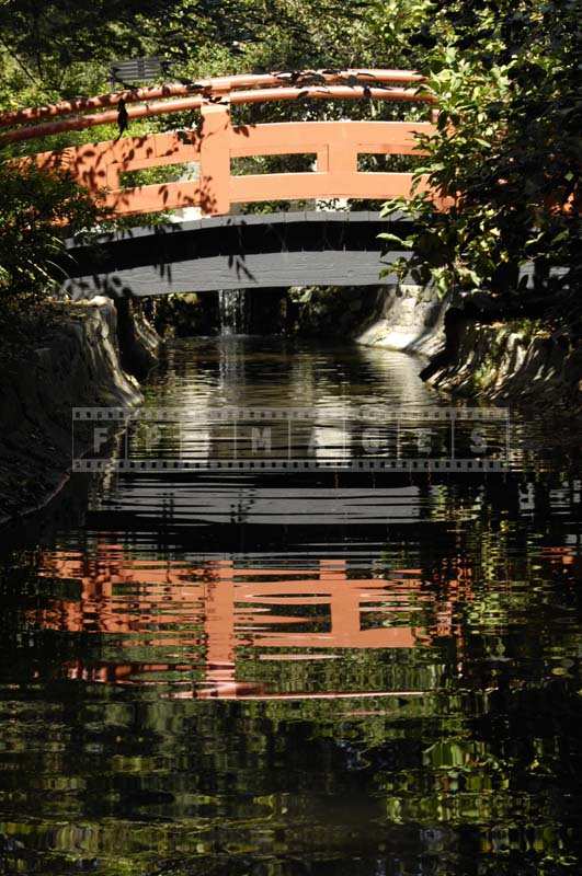 Reflection of a Japanese Bridge