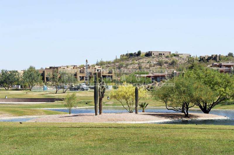 Cacti and Shrubs in the urban Park