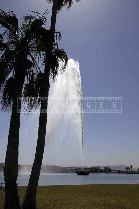 The Spray of Water from the Fountain behind the Palm Trees