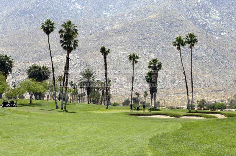 Majestic Mountains and Trees, Indian Canyons Golf Resort View