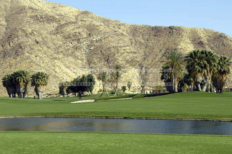 The Mountain Terrain backdrop adding to the Landscape