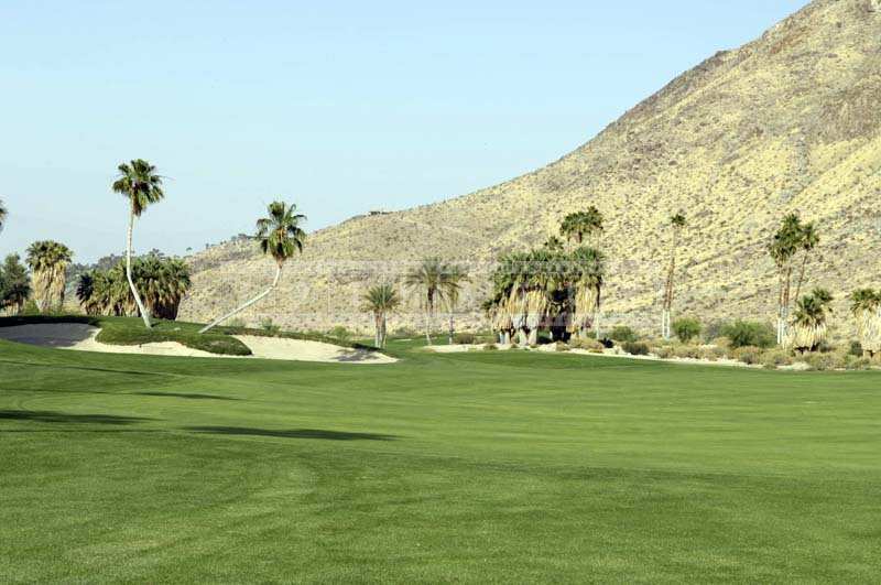 Tall Palm Trees and Majestic Mountains, Indian Canyons Golf Resort
