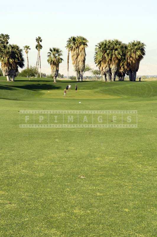 Group ahead putting on the green