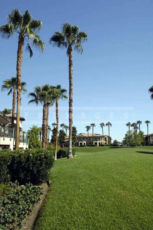 A Distant View of Resort Buildings Surrounded by Palms