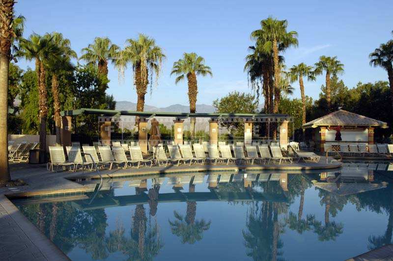 The Clear Pool Waters and the White Lounge Chairs