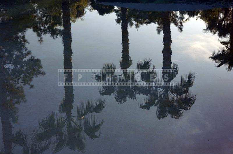 The Trees and the Sky Reflected in the Pool Waters