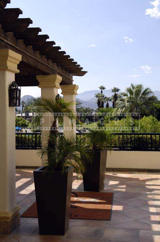 Two Stylish Flower Pots at the Entrance