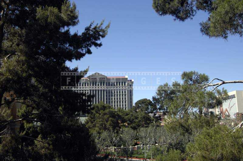 Caesars Palace and Pines