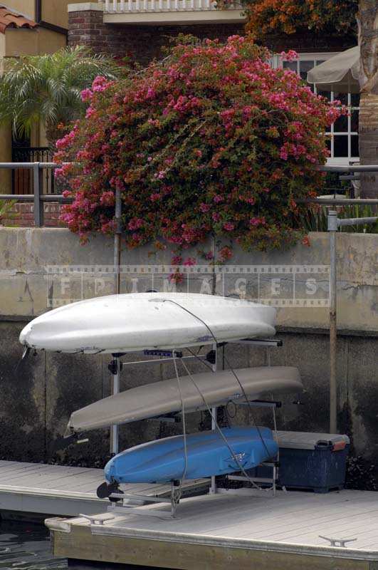 Kayaks arranged neatly under bougainvillea bush