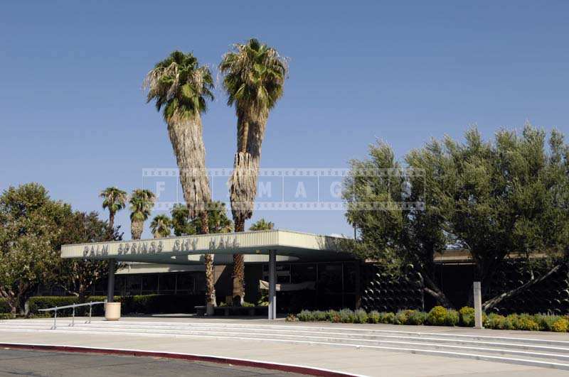 Two fan palms near the city hall