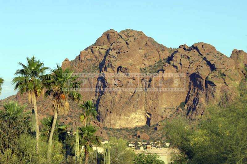 The Camelback Mountain surrounded by green residential area