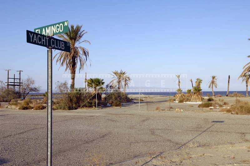 Street Signs Pointing in Blank Directions