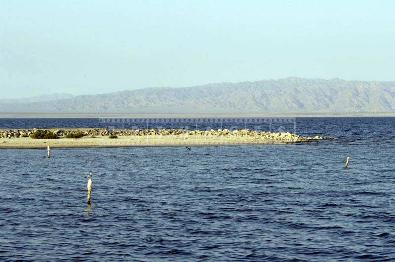 Abandoned Marina at the Salton City Beach