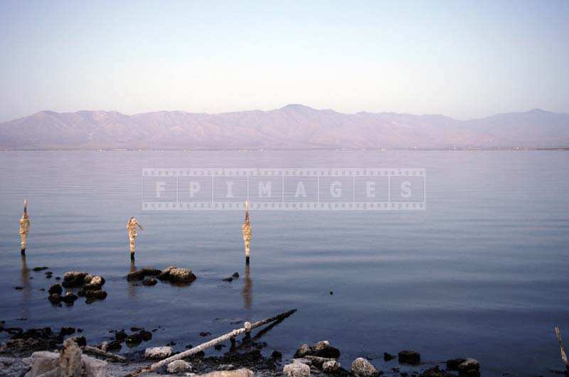 Poles with crystalized sediment near the shore