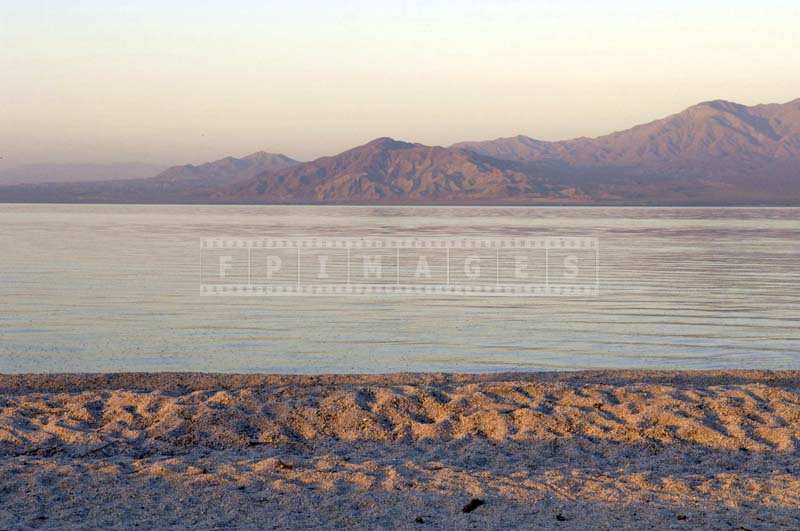 quiete early morning at Salton sea beach