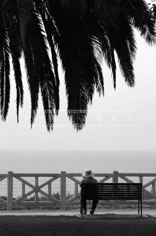 Man Wearing a Hat Sitting Restfully on the Bench