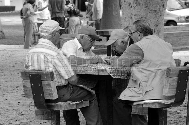 Image of Old Men Sitting in the Palisades Park, Santa Monica