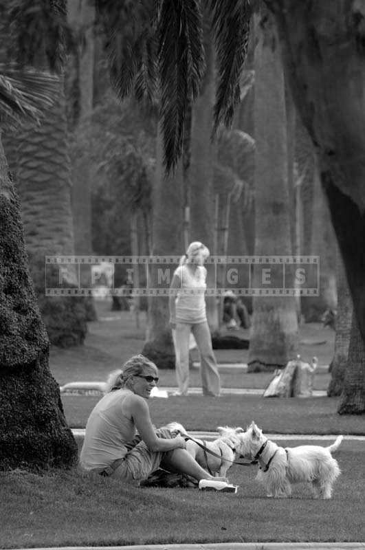 A Lady Sitting in the Park with two Dogs