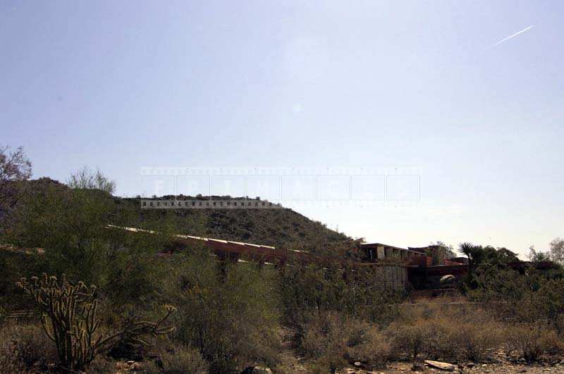 F. L. Wright Home Hidden among the Greenery