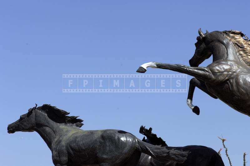 Prancing Bronze Horses